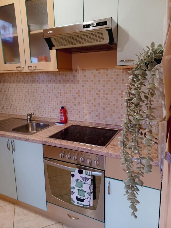 Adriatic Oasis Apartments Preko Zewnętrze zdjęcie